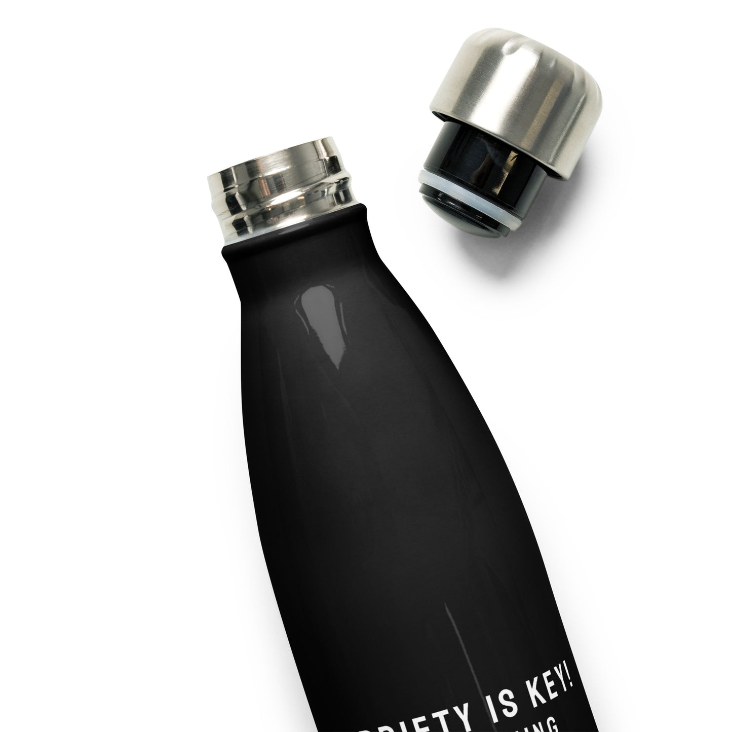 SOBRIETY IS KEY! Stainless Steel Water Bottle